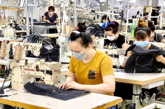  Dây chuyền may tại nhà máy VitaJeans, Công ty TNHH Việt Thắng Jean, (TPHCM). Ảnh: GIA HÂN 
