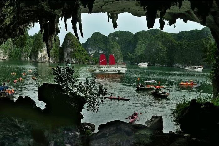 Cảnh quan nhìn từ hang Bồ Nâu, vịnh Hạ Long. Ảnh: Ban quản lý Di sản thế giới Vịnh Hạ Long - Yên Tử.