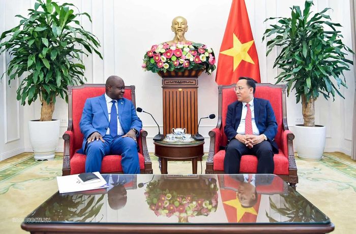 Thứ trưởng Nguyễn Hoàng Long khẳng định Việt Nam coi trọng quan hệ với các nước bạn bè châu Phi, trong đó Congo là đối tác tiềm năng, đồng thời đề xuất tăng cường hợp tác trên nhiều lĩnh vực. (Ảnh: Quang Hòa)