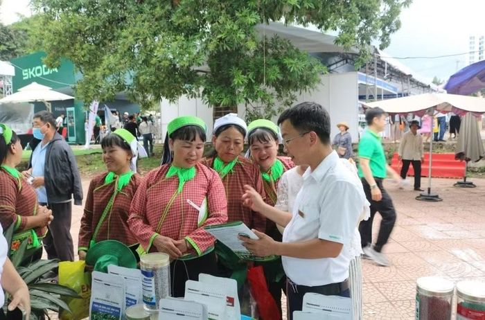 Cán bộ công ty hướng dẫn dẫn cách sử dụng phân bón
