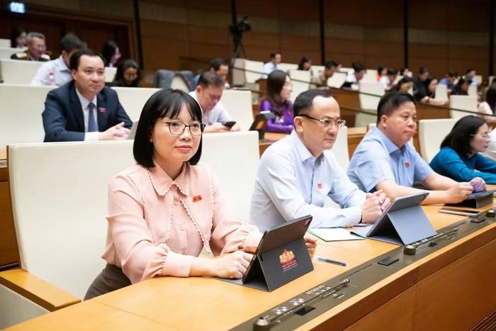 Các đại biểu tham dự phiên thảo luận (ảnh QH).