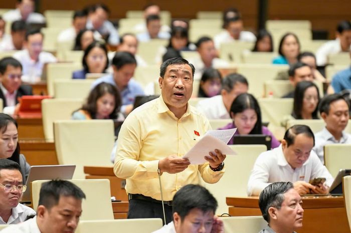 Đại biểu Thạnh Phước Bình. Ảnh: Như Ý