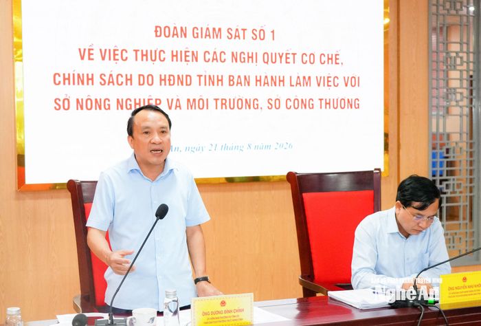 Phó Chủ tịch Thường trực HĐND tỉnh Dương Đình Chỉnh kết luận cuộc làm việc.