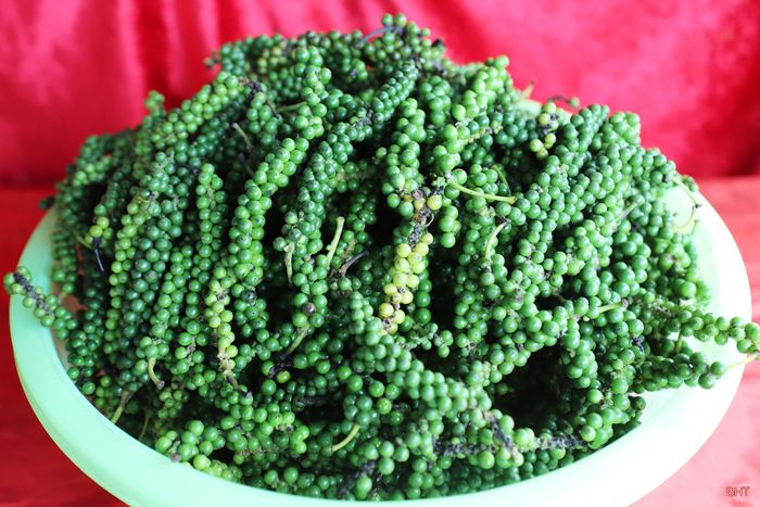 Điểm đáng chú ý của hội chợ là sự đa dạng sản phẩm. Trong đó, ban tổ chức ưu tiên các sản phẩm CNNT tiêu biểu, đặc sản địa phương đã được bảo hộ sở hữu trí tuệ, sản phẩm làng nghề truyền thống, thủ công mỹ nghệ, sản phẩm phục vụ phát triển nông nghiệp, công nghiệp và công nghiệp hỗ trợ.