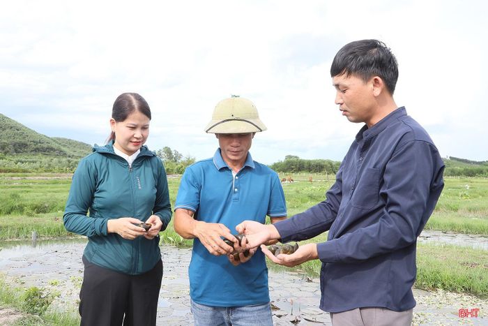 Nhiều nông dân ở xã Mai Hoa đang từng bước thành công từ các mô hình nuôi trồng thuỷ sản.