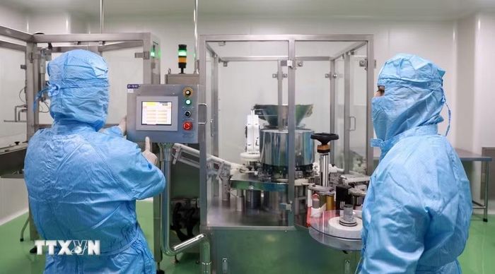 Nghiên cứu viên tại Viện Vắc xin và Sinh phẩm Y tế - Bộ Y tế (trụ sở tại tỉnh Khánh Hòa) nghiên cứu, sản xuất vaccine. (Ảnh: Xuân Triệu/TTXVN)