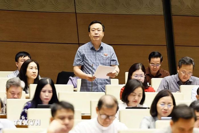 Đại biểu Quốc hội tỉnh Hưng Yên Nguyễn Đại Thắng phát biểu. (Ảnh: Doãn Tấn/TTXVN)