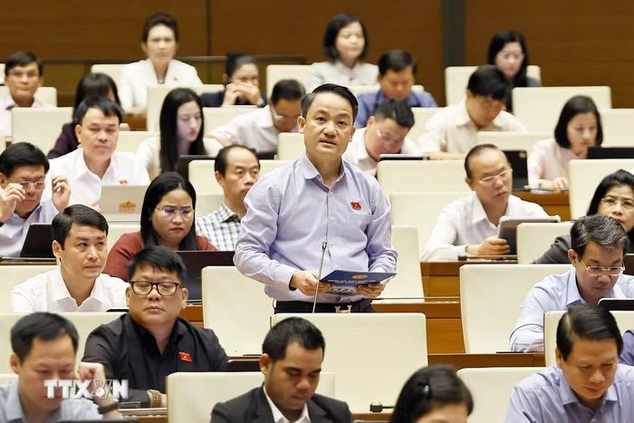 Đại biểu Quốc hội tỉnh Ninh Bình Lê Văn Thế phát biểu. (Ảnh: Doãn Tấn/TTXVN)