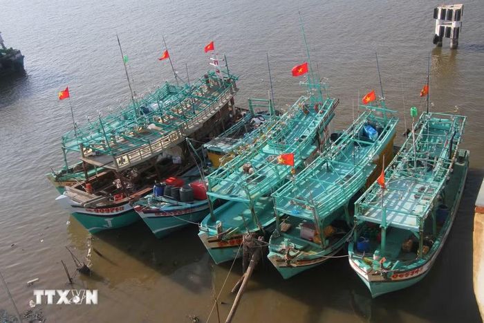 Cà Mau là địa phương có lượng tàu thuyền khai thác thủy hải sản lớn của cả nước. (Ảnh: Chanh Đa/TTXVN)