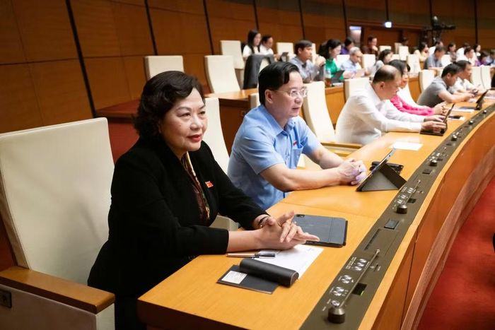 Các đại biểu tham dự Phiên thảo luận. (Ảnh: quochoi.vn)