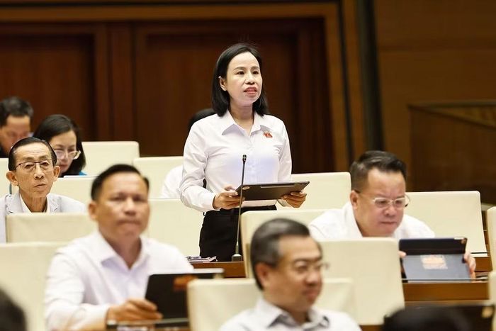 Đại biểu Quốc hội Thành phố Hồ Chí Minh Võ Ngọc Thanh Trúc phát biểu. (Ảnh: Doãn Tấn/TTXVN)