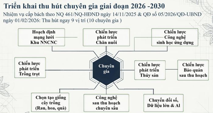 Khu Nông nghiệp công nghệ cao TP Hồ Chí Minh có nhu cầu thu hút 10 chuyên gia cho 9 vị trí trong giai đoạn 2026 - 2030. Nguồn: AHTP