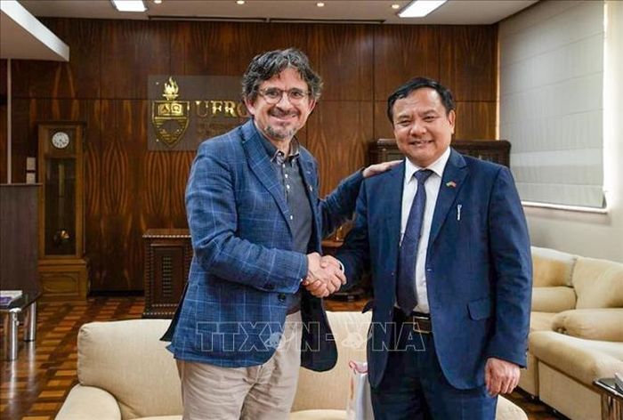 Đại sứ Việt Nam tại Brazil Bùi Văn Nghị làm việc với Phó Giám đốc Học viên UFRGS GS.TS. Pedro de Almeida Costa. Ảnh: Đại sứ quán Việt Nam tại Brazil