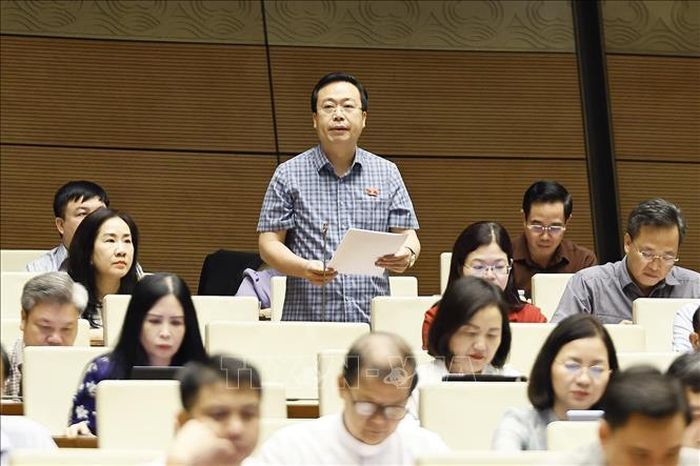 Đại biểu Quốc hội tỉnh Hưng Yên Nguyễn Đại Thắng phát biểu. Ảnh: Doãn Tấn/TTXVN