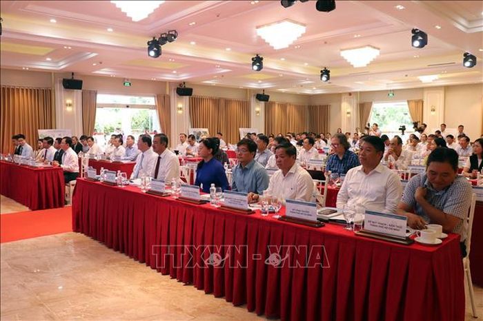 Các đại biểu tham gia Hội thảo.