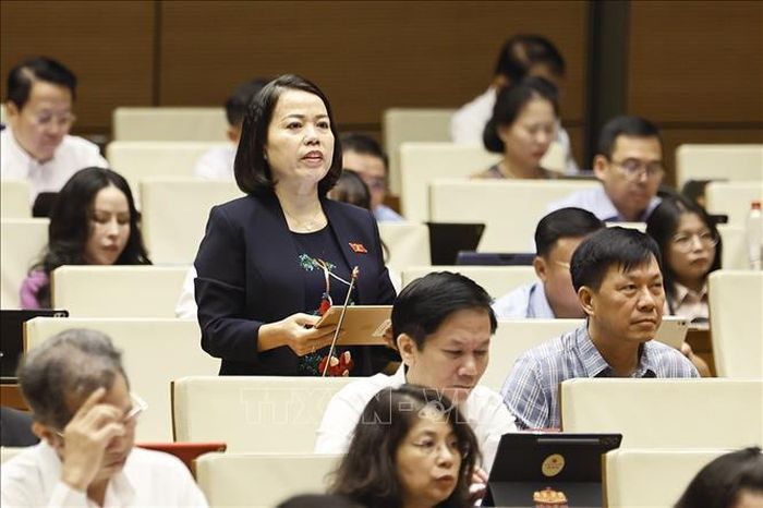 Đại biểu Quốc hội tỉnh Tuyên Quang Lý Thị Lan phát biểu. Ảnh: Doãn Tấn/TTXVN