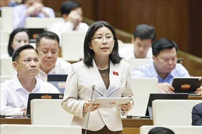 Đại biểu Quốc hội tỉnh Đắk Lắk Lê Đào An Xuân phát biểu. Ảnh: Doãn Tấn/TTXVN