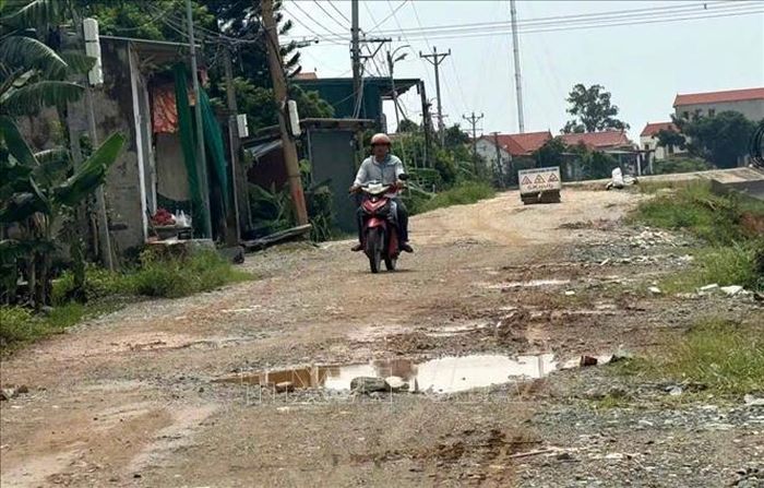 Sau những trận mưa kéo dài, một số đoạn đê sông Càn chưa được hoàn thiện trở nên sình lầy, xuất hiện nhiều vị trí sụt lún, ổ gà, ổ voi trên mặt tuyến, gây khó khăn, tiềm ẩn nguy hiểm cho người dân khi lưu thông. Ảnh: Khiếu Tư/TTXVN