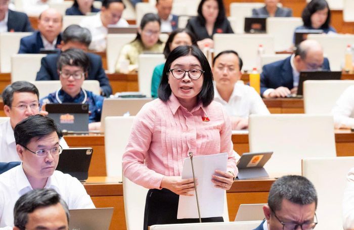 Đại biểu Phan Thị Thúy Linh - Chủ tịch Liên đoàn Lao động thành phố Đà Nẵng.