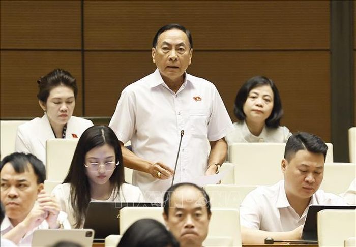 Đại biểu Quốc hội tỉnh Đồng Tháp Phạm Văn Hoà phát biểu, sáng 21/8. Ảnh: Doãn Tấn/TTXVN