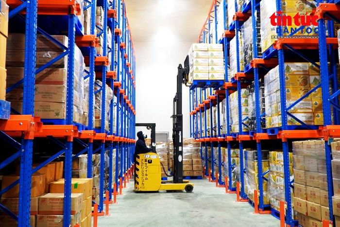 Đầu tư kho lạnh và trung tâm logistics giúp kéo dài thời gian bảo quản, giảm tổn thất sau thu hoạch và gia tăng giá trị nông sản.