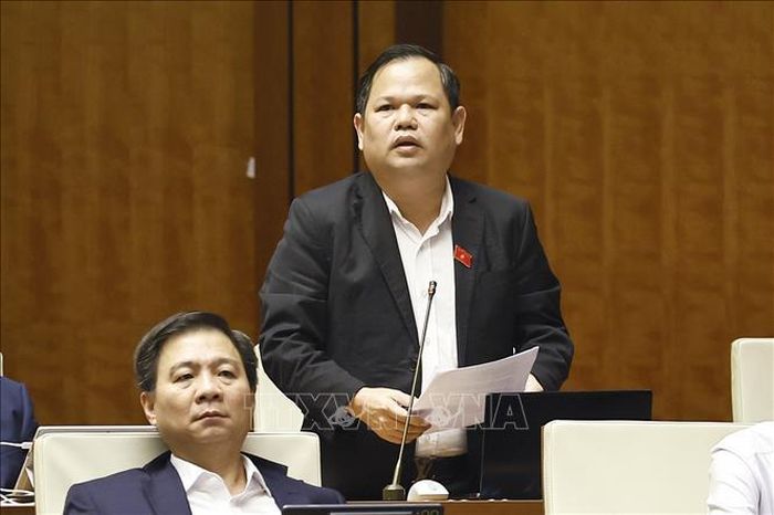 Đại biểu Quốc hội tỉnh Cà Mau Nguyễn Duy Thanh phát biểu. Ảnh: Doãn Tấn/TTXVN