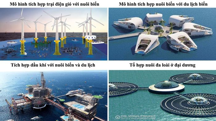 Một số mô hình tích hợp nuôi biển kết hợp với các ngành kinh tế khác. Nguồn: Hiệp hội Nuôi biển Việt Nam