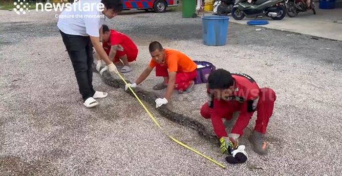 Ảnh cắt từ clip Newsflare.