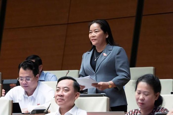 ĐBQH Lê Thị Thanh Lam (Ảnh: Media Quốc hội).
