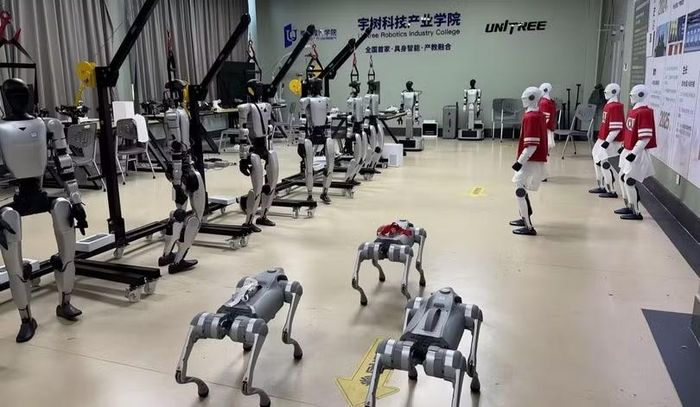 Unitree chưa chứng minh được "robot có thể tạo ra một thị trường công nghiệp đại trà và lợi nhuận khổng lồ" là một nguyên nhân khiến cổ phiếu lao dốc. Ảnh: Sohu.