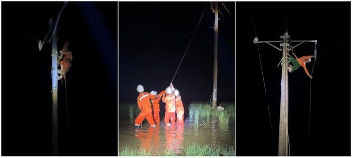 Công nhân Công ty Điện lực Thanh Hóa xử lý sự cố trên lưới điện đêm 17/8 do dông lốc, sét kèm mưa đá xảy ra tại xã Xuân Tín và xã Thiệu Tiến. Ảnh: Thành Trung/Bnews.vn/Vnanet.vn