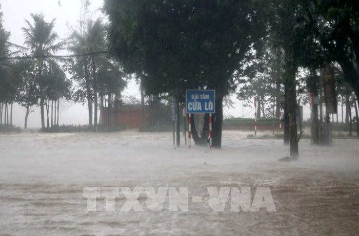 Từ chiều tối 21/8 đến ngày 24/8, nhiều khu vực mưa lớn, cục bộ có nơi trên 500 mm. Ảnh minh hoạ. Nguồn: TTXVN