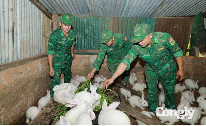 Những con thỏ được cán bộ, chiến sĩ Đồn Biên phòng Bo Heng nuôi tại Chốt quản lý bảo vệ biên giới.