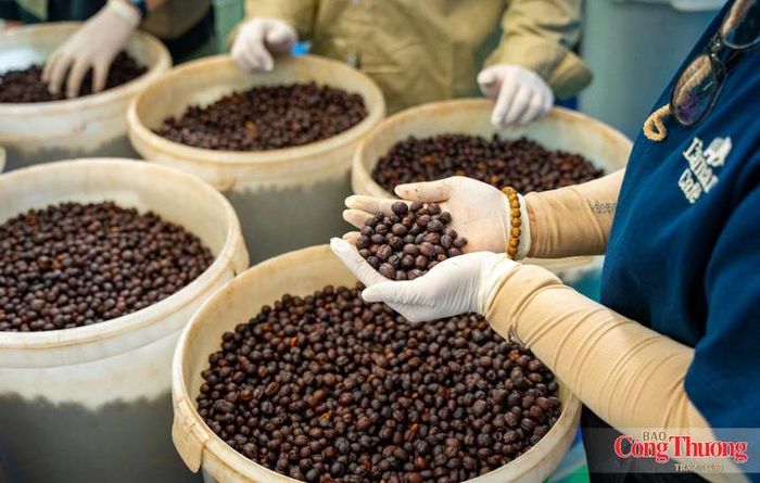 Các thị trường lớn như Mỹ, Nhật Bản cũng ngày càng đặt ra yêu cầu cao về chất lượng, truy xuất và trách nhiệm môi trường.