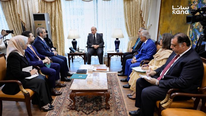 Thủ tướng Pakistan Shehbaz Sharif hội đàm với Ngoại trưởng Syria Asaad Hassan Al-Shaibani ngày 20/8.