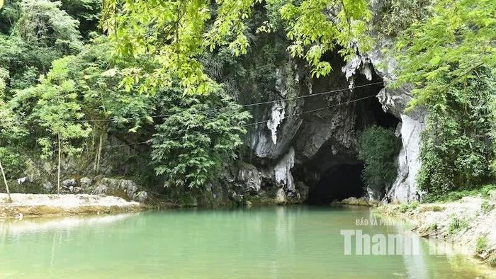 Theo người dân địa phương, hang Quăn có diện tích khoảng 1.500m2, sâu khoảng 4-5m. Nước từ trong hang chảy ra ngoài quanh năm, trong vắt và mát lạnh.