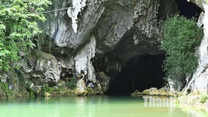 Khi vào sâu bên trong, trên nóc hang động còn có nhiều nhũ đá lớn với những hình dạng độc đáo.