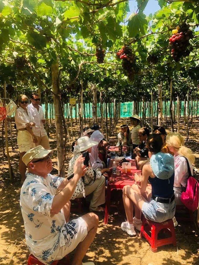 Không chỉ dừng ở sản phẩm vật lý, Khánh Hòa còn hướng đến xây dựng “trải nghiệm OCOP”.  Ảnh: VTV