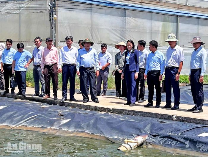 Phó Chủ tịch UBND tỉnh An Giang Ngô Công Thức khảo sát vùng nuôi cá tra giống Vĩnh Hoàn, xã Vĩnh Xương.