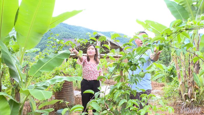 Cán bộ xã Quài Tở và đại diện đơn vị hỗ trợ giống, kỹ thuật kiểm tra cây chanh leo. 