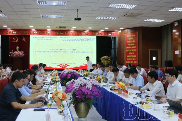 Đại biểu dự buổi làm việc.