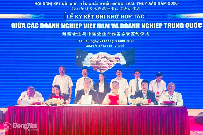 Đại diện Công ty TNHH TMDV xuất khẩu cà phê mộc Mr Công (phường Long Khánh, hàng ngồi, bìa phải) ký kết biên bản ghi nhớ hợp tác với các doanh nghiệp Trung Quốc tại hội nghị. Ảnh: CTV