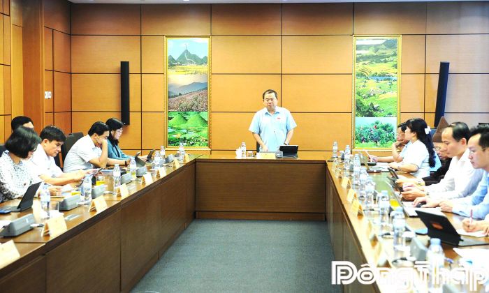Quang cảnh thảo luận tổ.