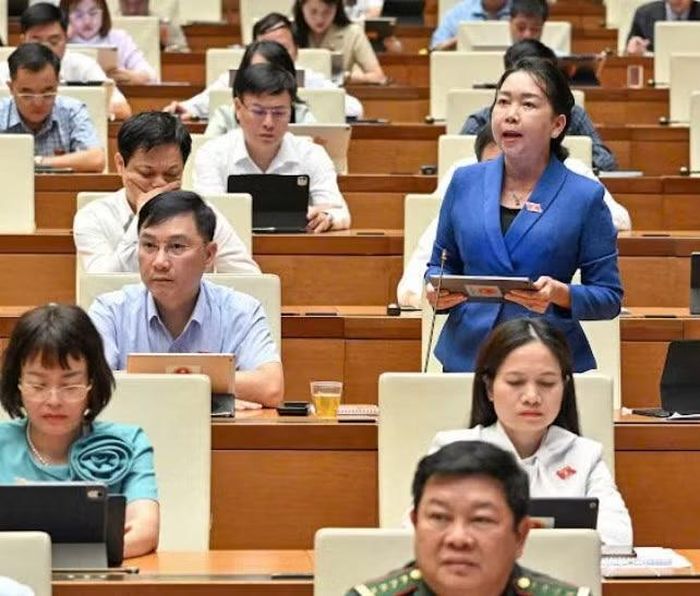  ĐB Lý Tiết Hạnh đề nghị tiếp tục hoàn thiện chính sách đất đai, bảo đảm sinh kế cho người dân. Ảnh: Đoàn ĐBQH tỉnh Gia Lai 