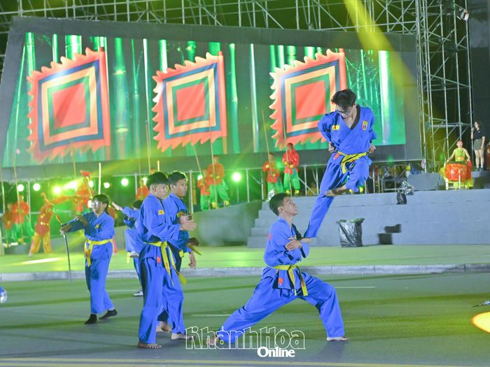 Màn biểu diễn võ thuật vovinam.