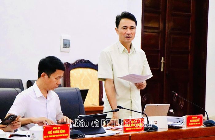 Đồng chí Hà Trọng Hải - Phó Chủ tịch UBND tỉnh tham gia ý kiến tại phiên họp.