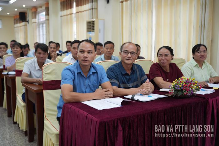 Các đại biểu tham dự hội nghị