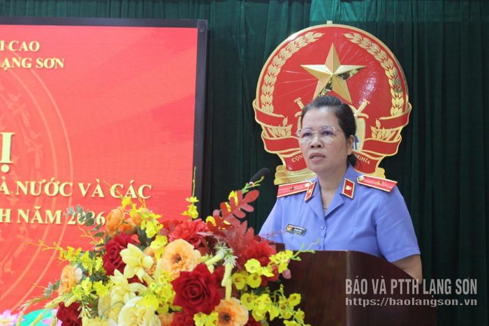 Lãnh đạo Viện KSND tỉnh phát biểu bế mạc hội nghị