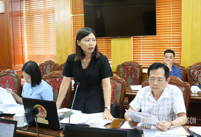 Lãnh đạo Sở Tư pháp phát biểu ý kiến tại cuộc thẩm tra
