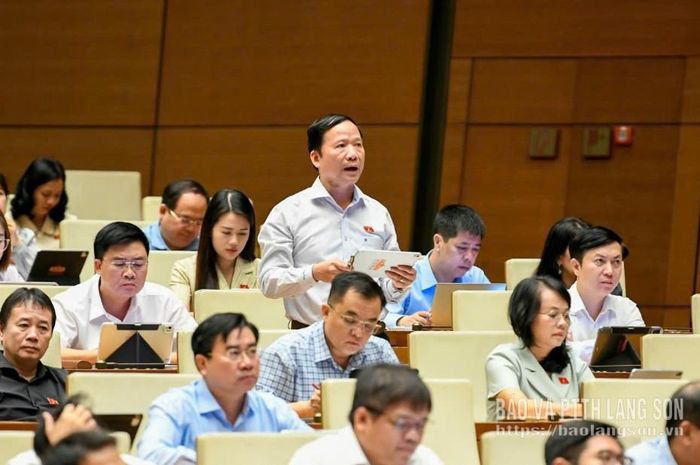 Đại biểu Nguyễn Đặng Ân, Phó Trưởng Đoàn ĐBQH tỉnh phát biểu thảo luận tại hội trường